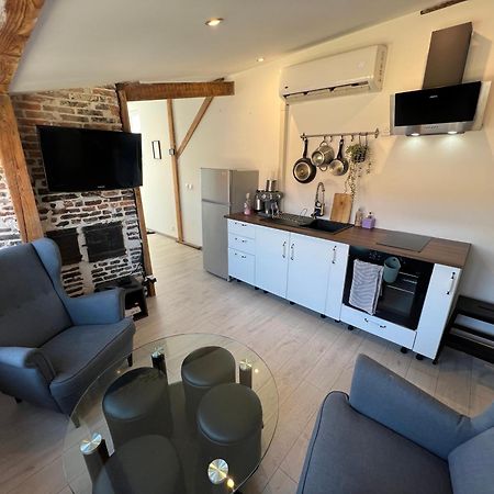 Bellevue Appartement Sous Les Toits Hypercentre Climatise Dole Exterior foto